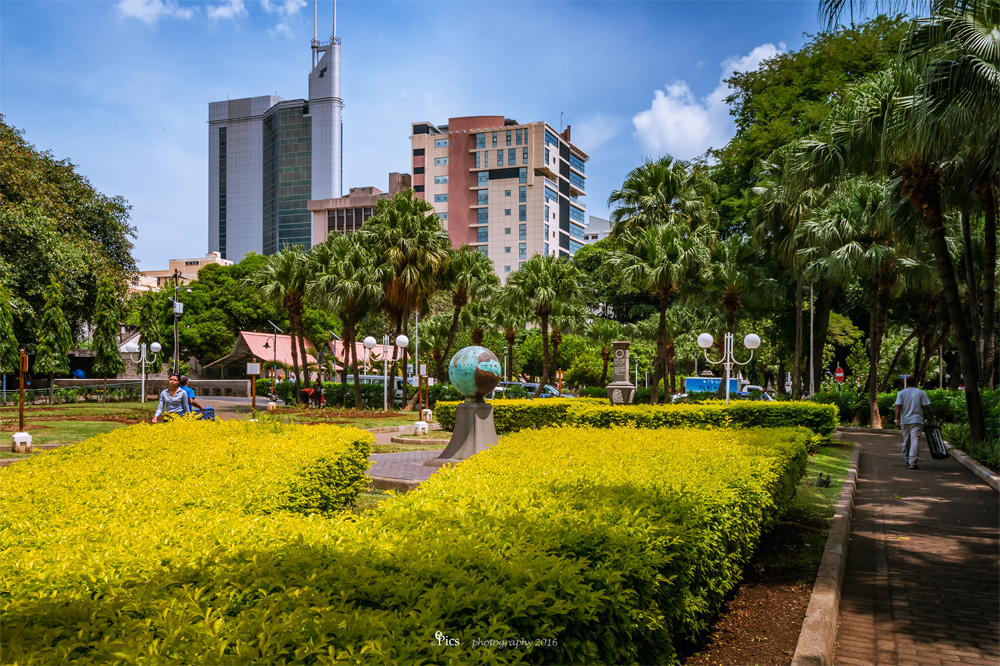 Company Garden