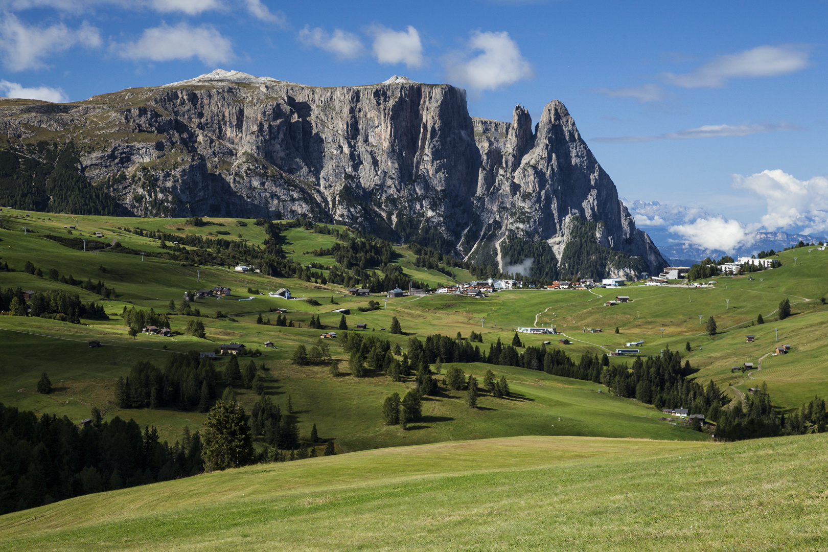 Compatsch auf der Seiser Alm