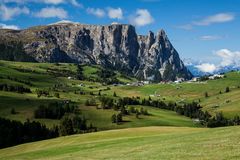 Compatsch auf der Seiser Alm