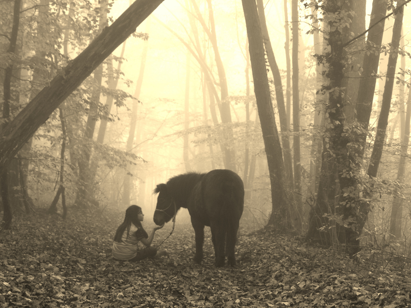 complicité en foret