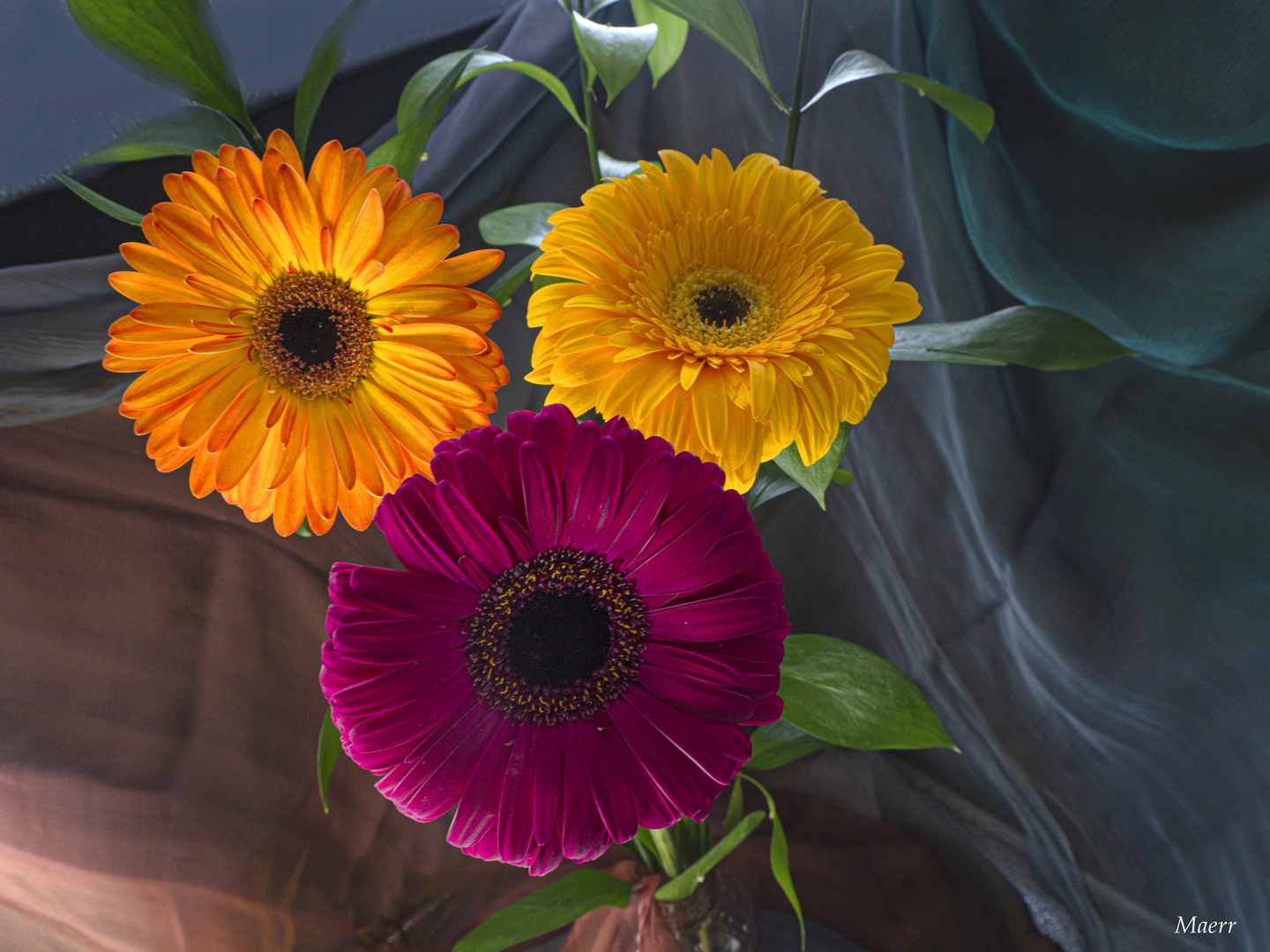 Composición floral con gerberas.