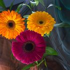 Composición floral con gerberas.