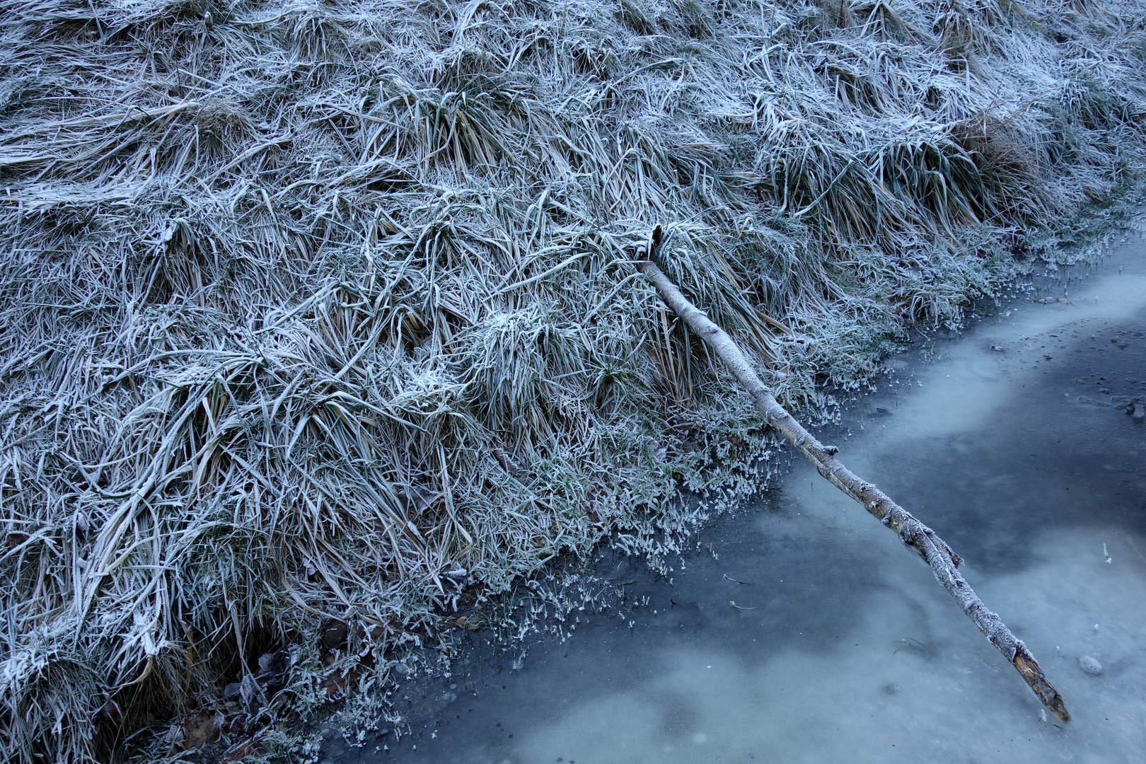 composition bleue