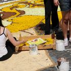 Composizione artistica all'infiorata di Genzano