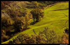 ..composizione autunnale..