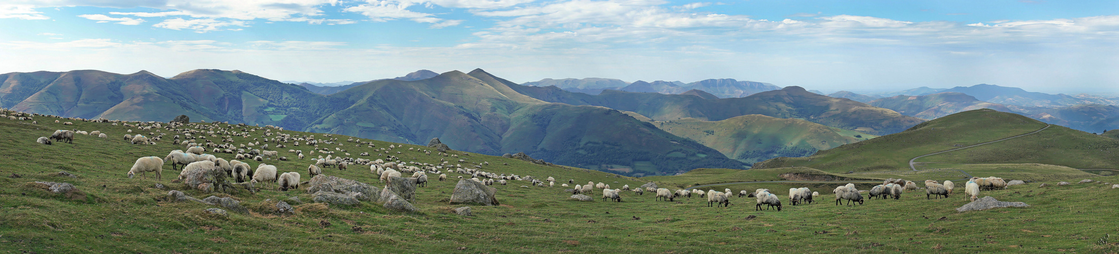 Compter les moutons ....... -:)))