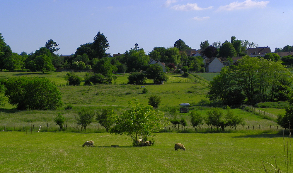 Comptons les moutons .