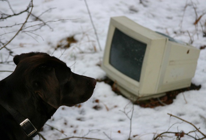 Computerkurs für Labbis