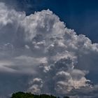 Comulunimbus-0022