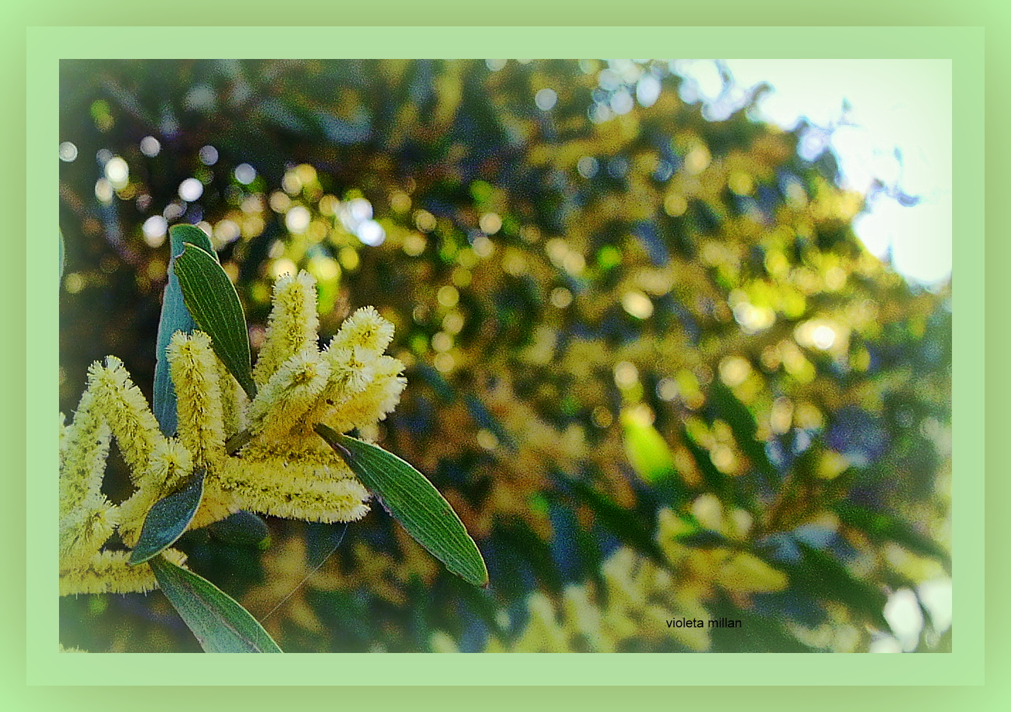 CON COLOR DE PRIMAVERA