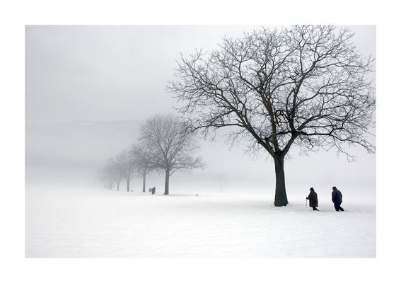 Con il cuore in pace verso...