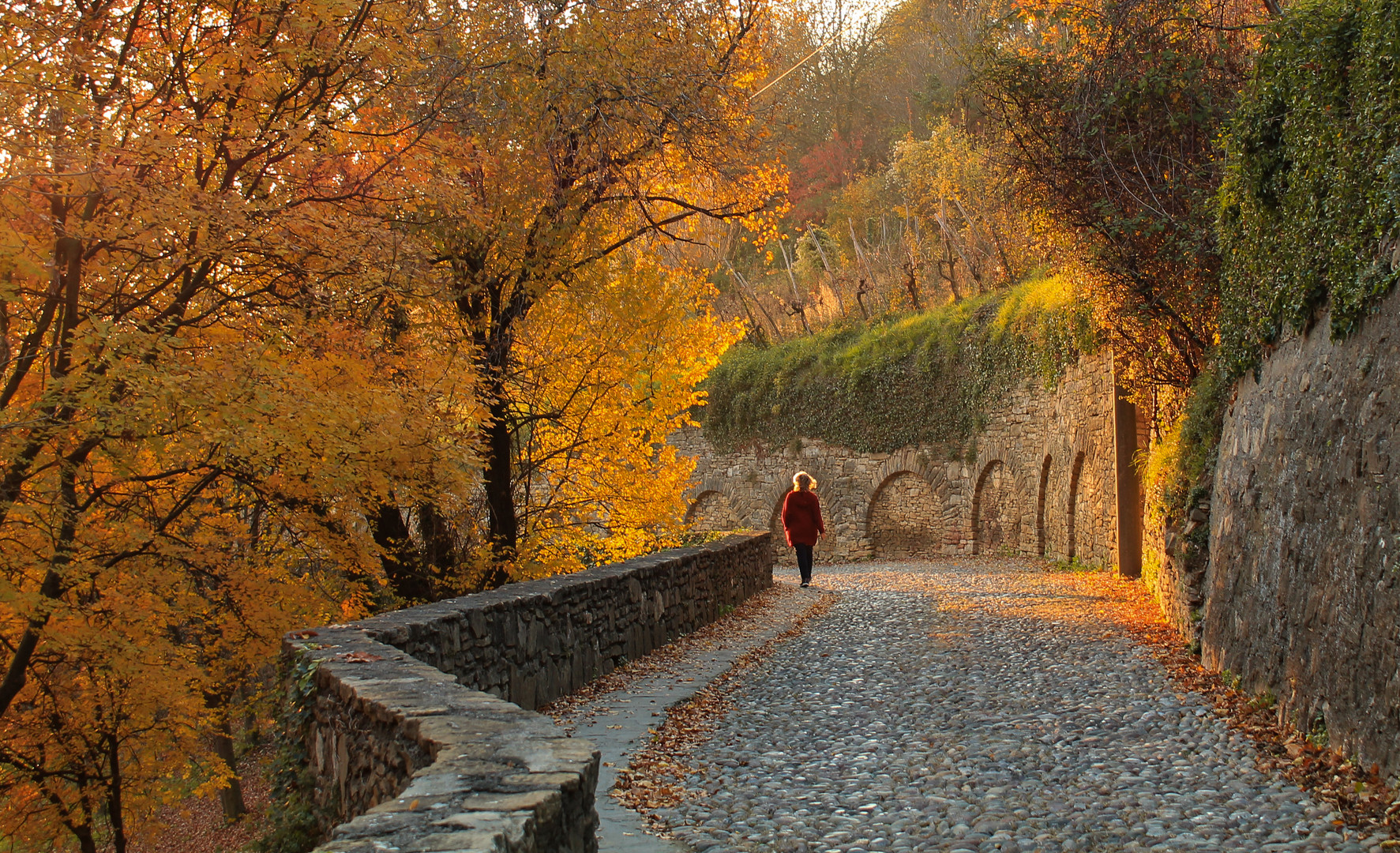 con il sole tra i capelli