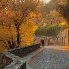 con il sole tra i capelli