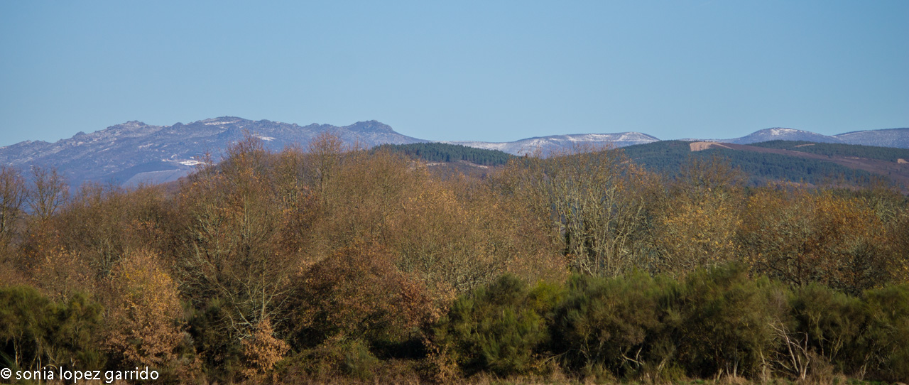 Con la Sierra de Fondo