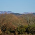 Con la Sierra de Fondo