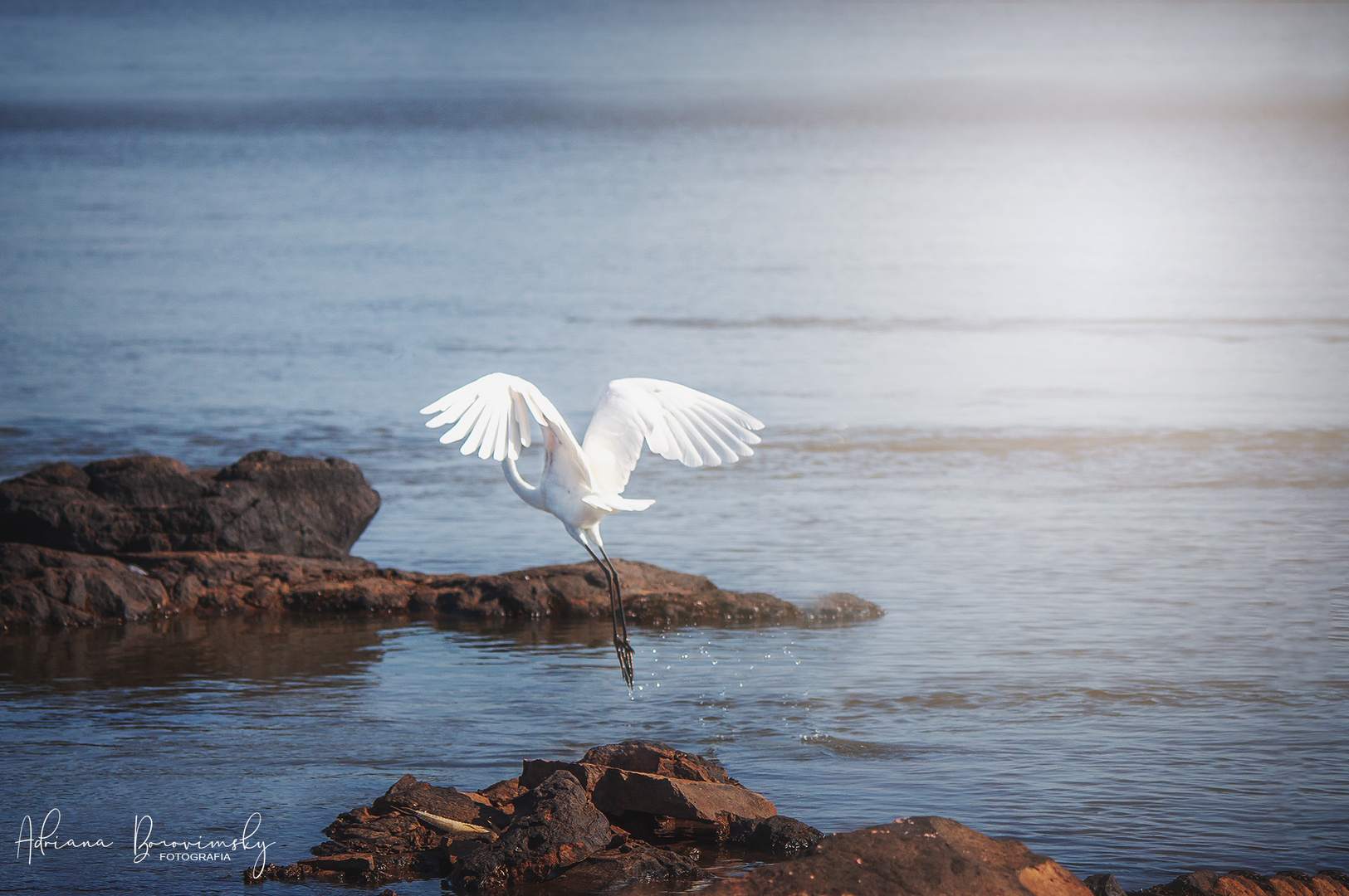 Con las Alas del alma