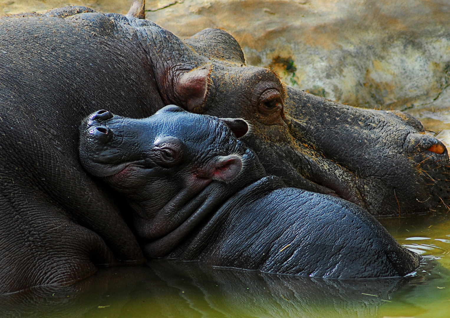 CON MAMÁ