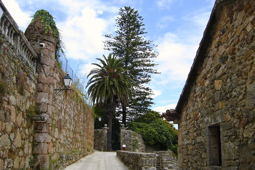 Con palmera al fondo