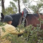 concentration pour la manoeuvre