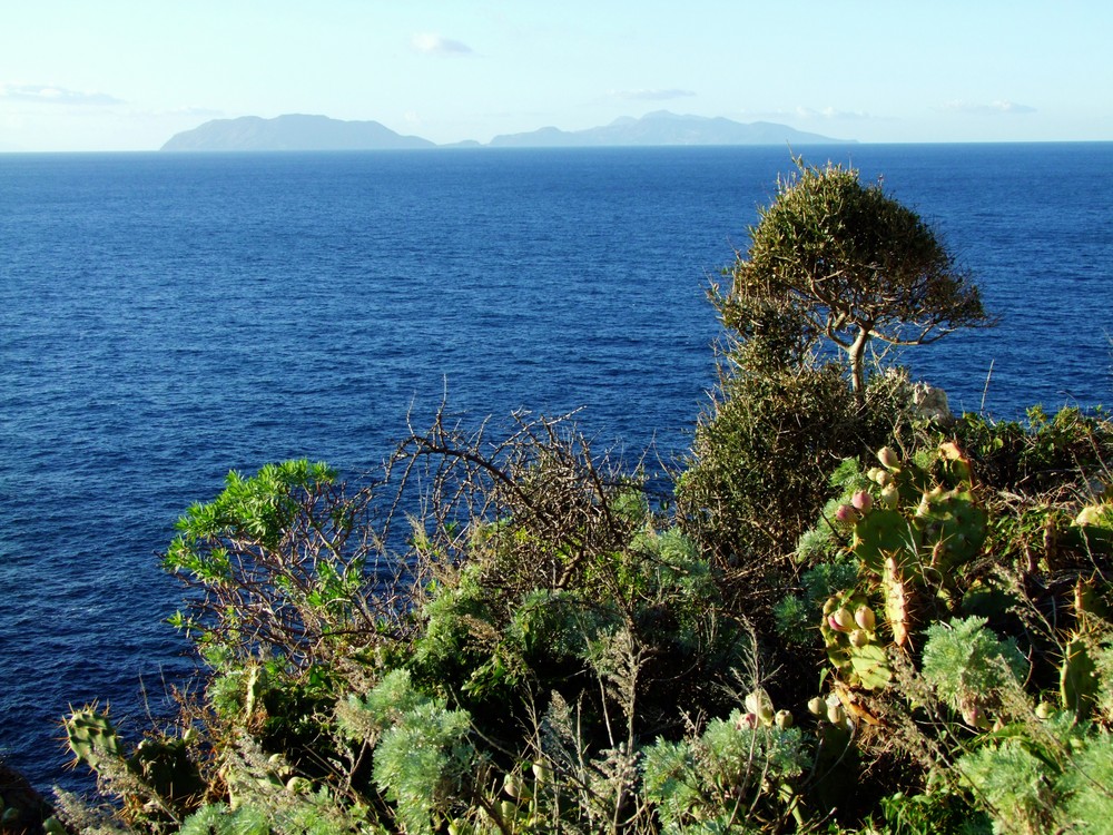 concentrato di sicilia