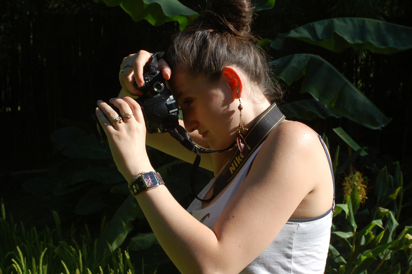 concentrée