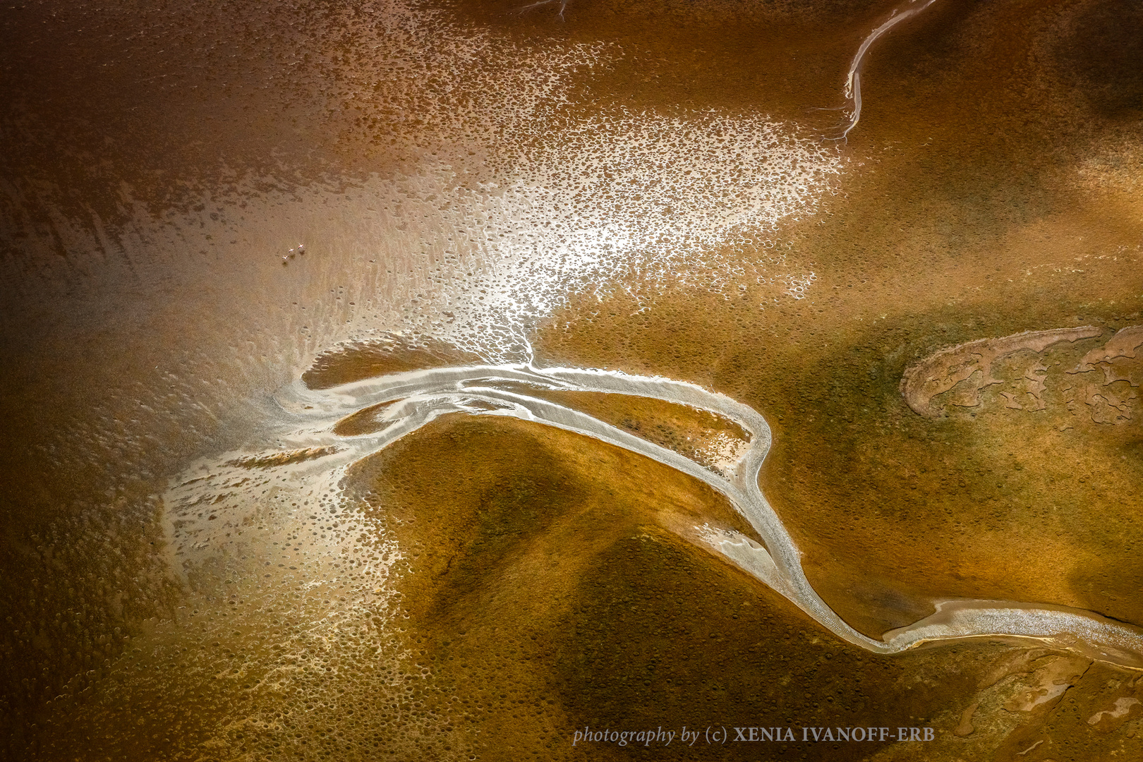 Conception Bay Aerial