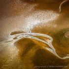 Conception Bay Aerial