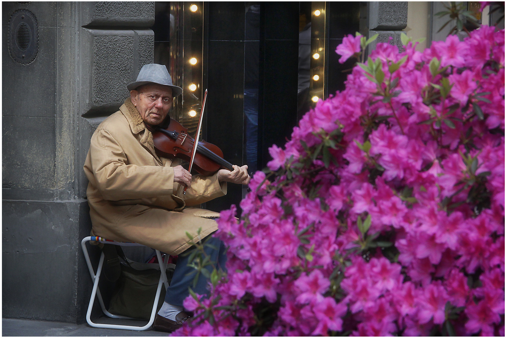 CONCERTO DI (...una fredda...) PRIMAVERA