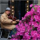 CONCERTO DI (...una fredda...) PRIMAVERA