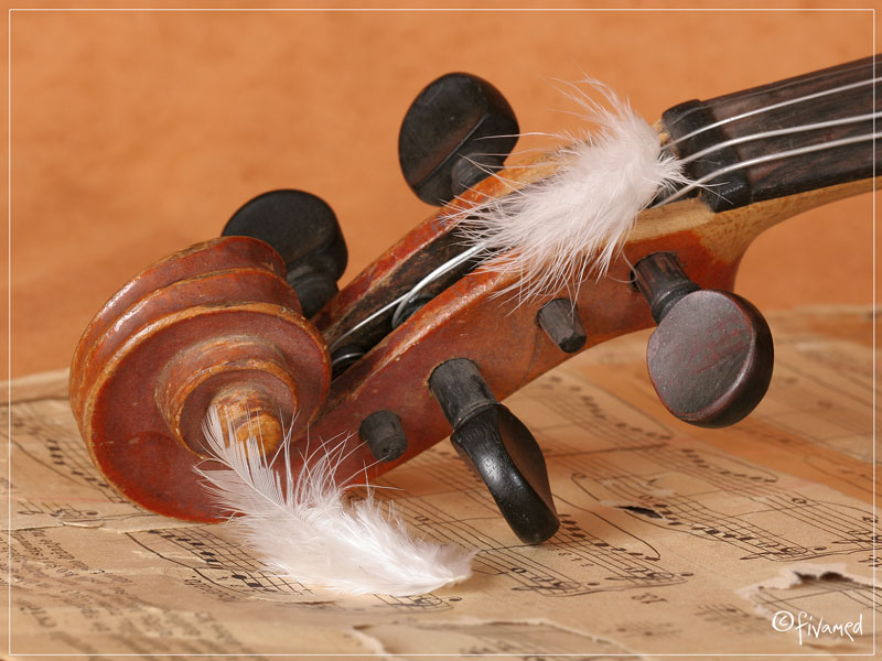 concerto for violin