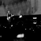 Concerto Ligabue- Padova 2010 #2