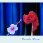 Concerto Mohno