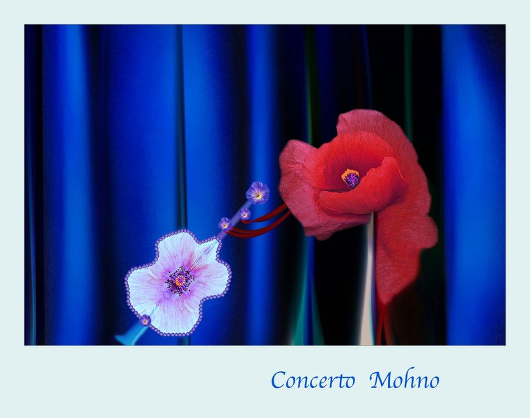 Concerto Mohno