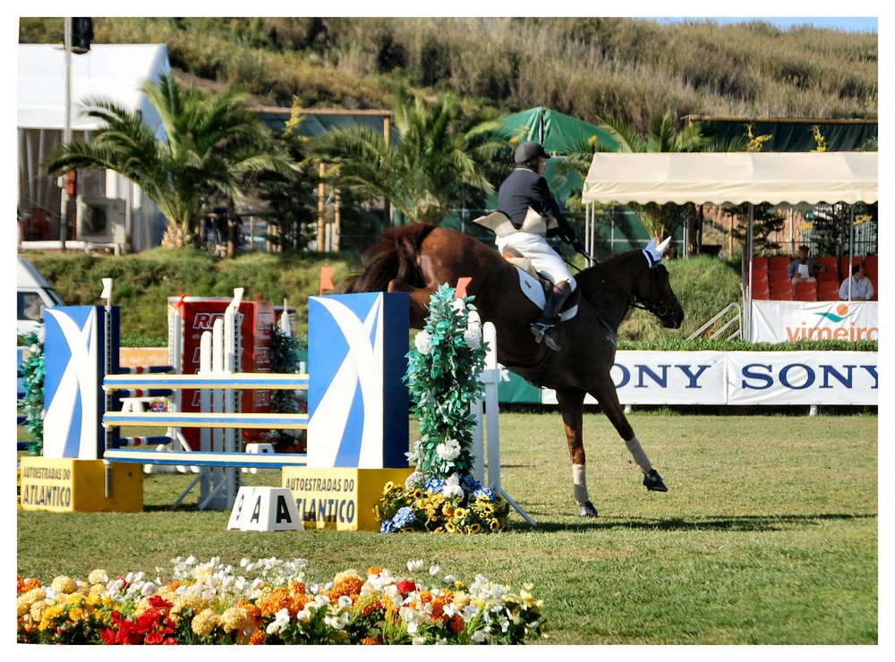 Concorso ippico di Vimeiro 2007 Pottugal