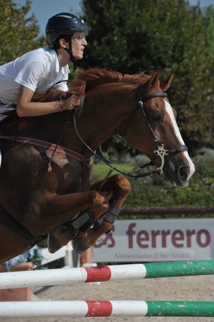 Concorso San Giovanni in Marignano