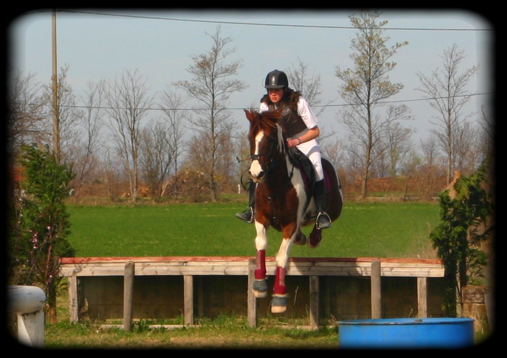 Concours de Saut D'obstacle ..