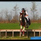 Concours de Saut D'obstacle ..