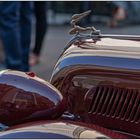 Concours d'elegance 04