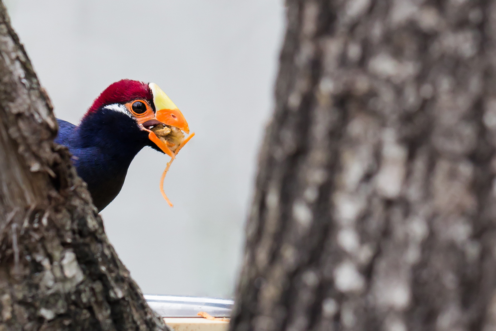 concours nature