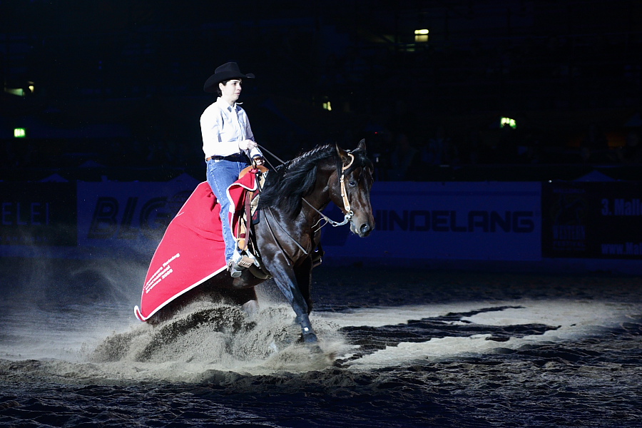 Concours Reining International