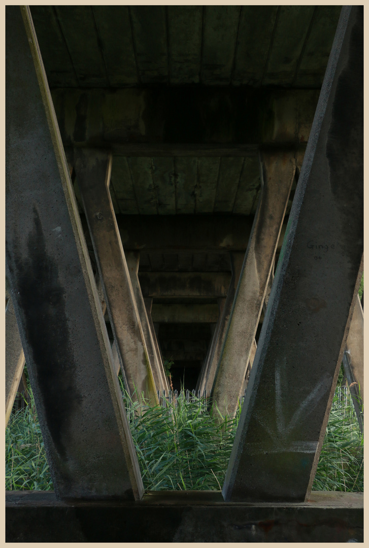 concrete jungle at fiddlers ferry