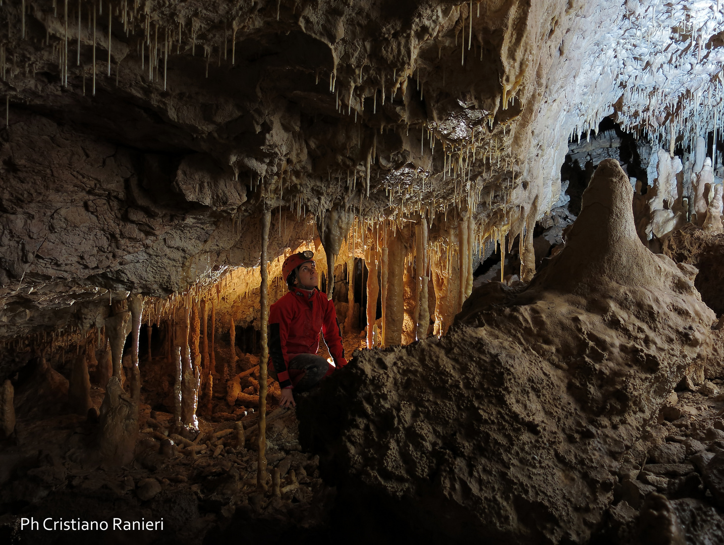 Concrezioni. Grotta Arnolfi