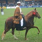 Concurso de caballos de paso Peruano.