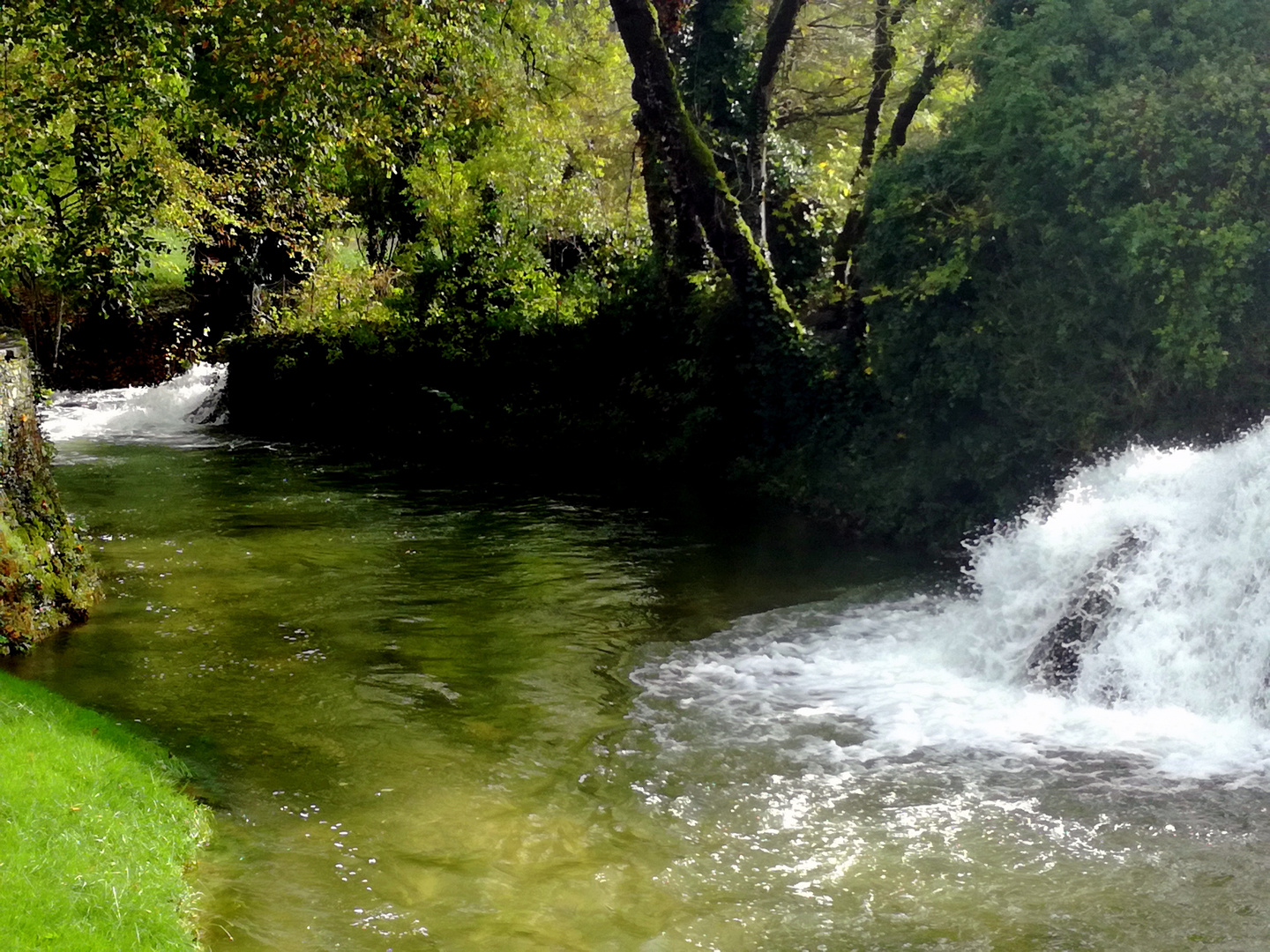 Condat sur Vezere, Dordogne 