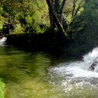 Condat sur Vezere, Dordogne 