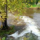 Condat sur Vezere, Dordogne 