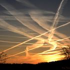 Condensation trails illuminated by early sunrise