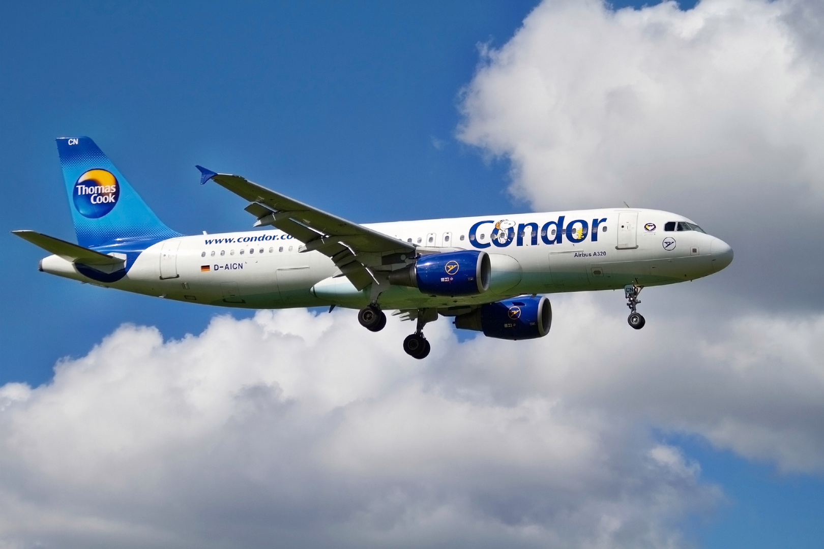 Condor