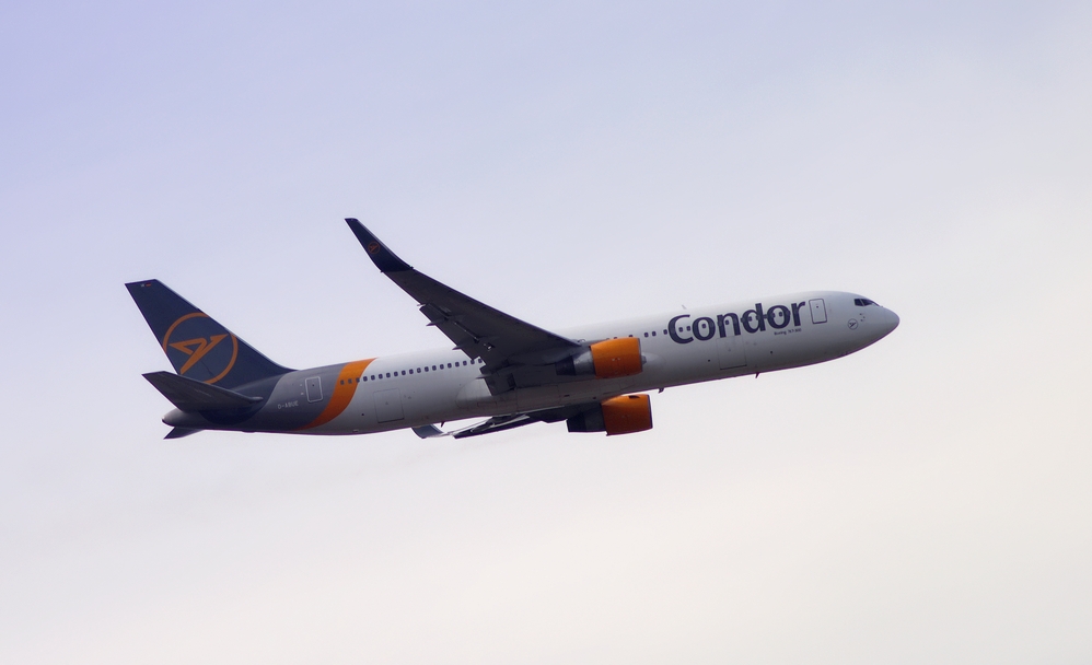 Condor