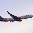 Condor